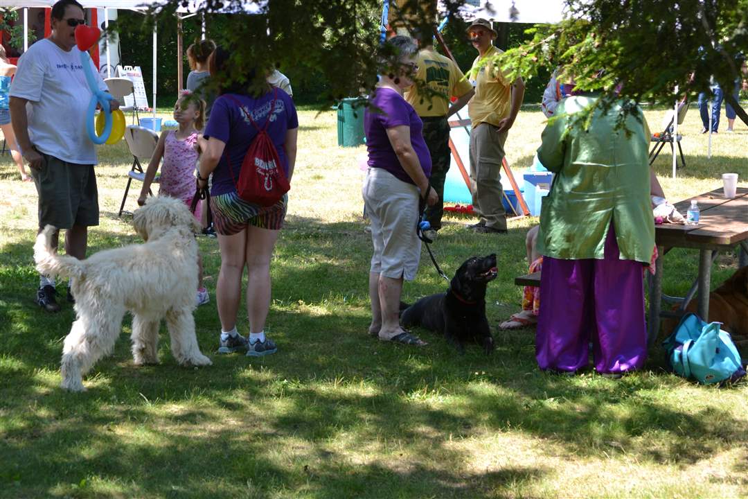 20ff613b-44b1-4c4a-8838-b2c610ce872d