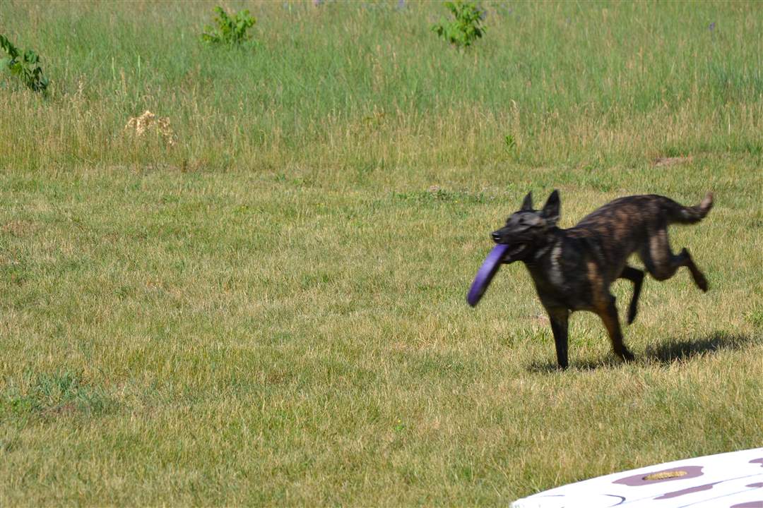 2101ae02-a31e-49f6-9db6-e9bc60df1fea