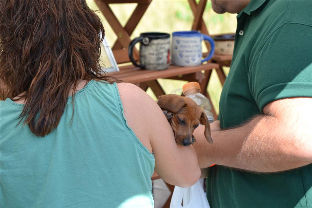 2b167bb9-7acf-47a5-a8ed-658dd45c6b37