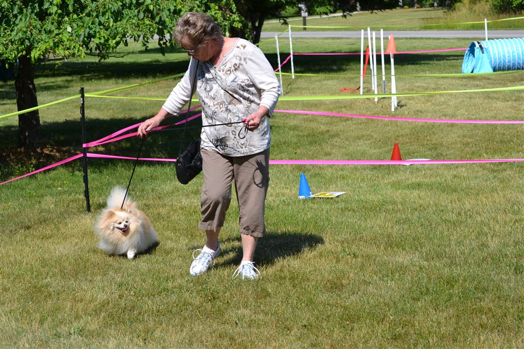 413ae7cd-e6e7-459c-b0fc-5ddaec8621d5