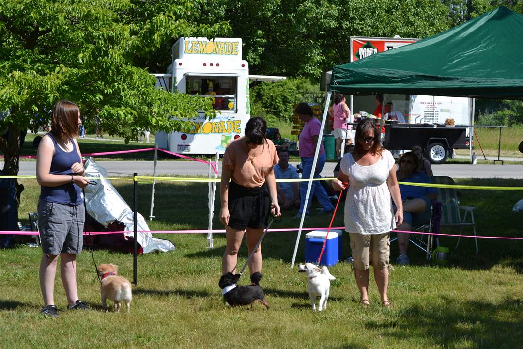 495fd01f-0a19-42c3-87de-1e5bcd3e2d50