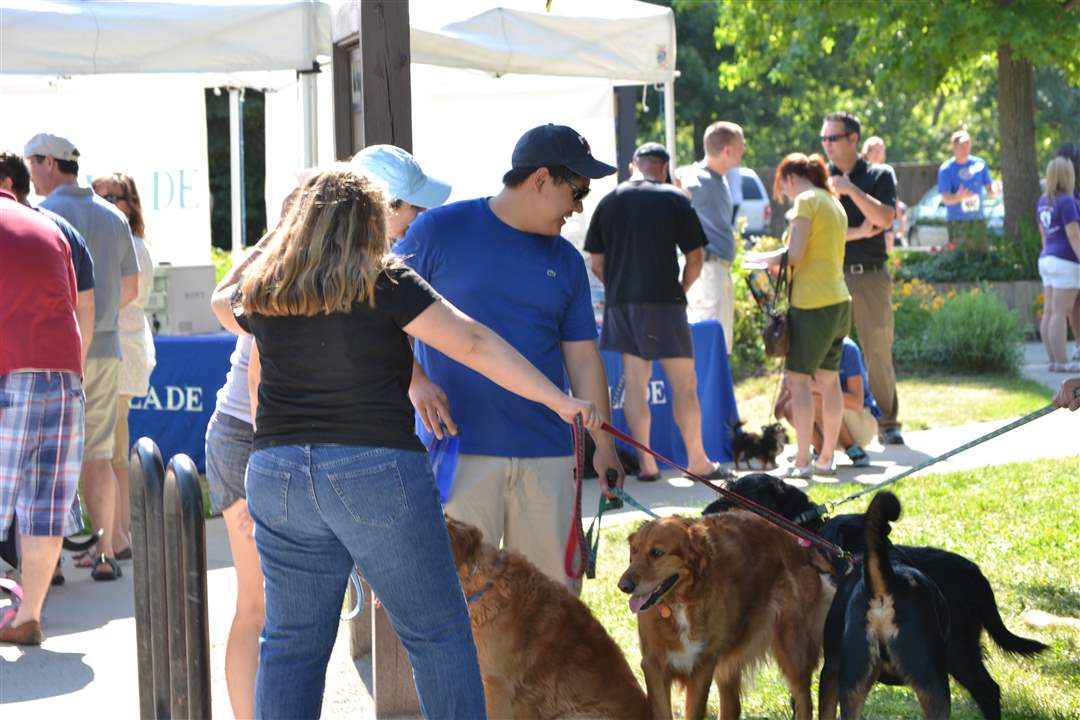 4b3955e4-ddb4-475a-a822-2aeb23f4f542