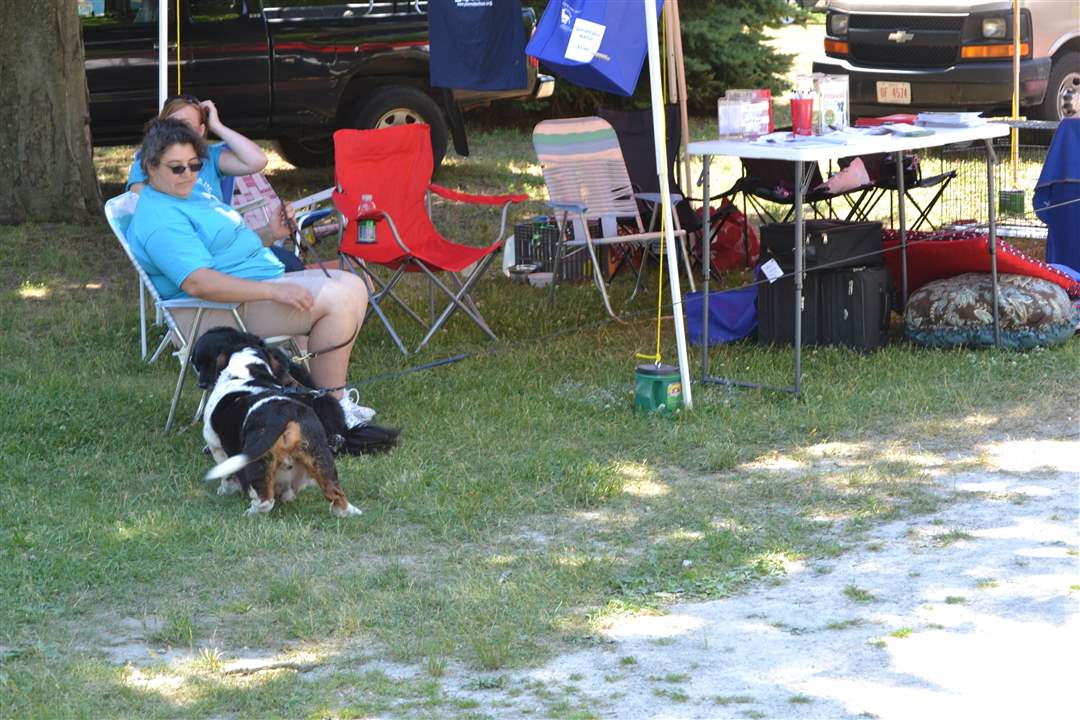 4d6c033e-aded-4e32-92f0-8a2f29f3c488