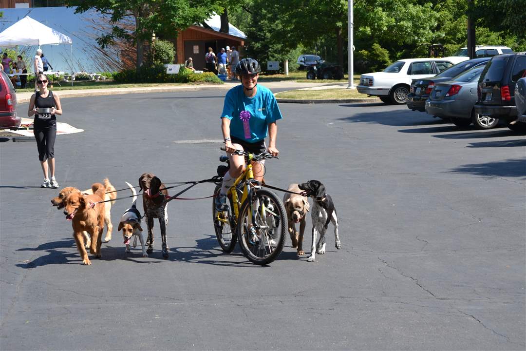 54d9276e-f59f-4f9a-8afb-a99326ef2f0f