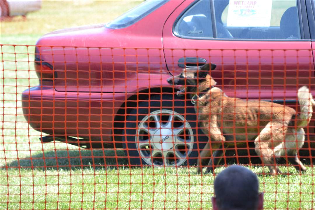 6719b36b-0402-4256-aed9-eacbe4e7944d