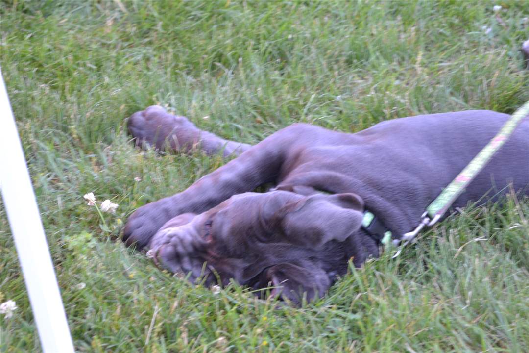 6a44575c-016e-40ee-9a0c-29a294bbf31c