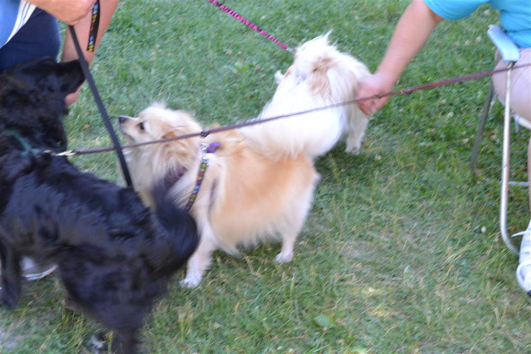 79a42bcf-d9aa-4065-a941-b4ed837abf6d