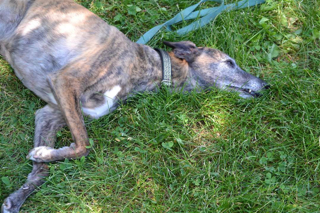 7b370636-a38e-47bd-ad0a-e643d719b747