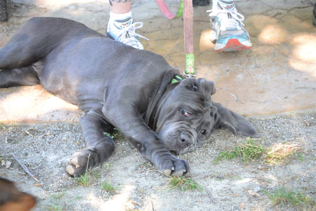 8753de36-7f78-4a62-b983-54d12baf719f