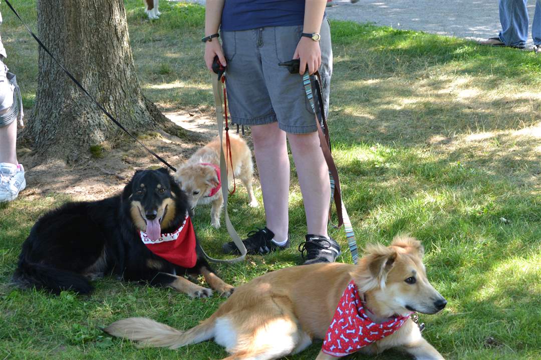 8e4e8b38-a122-4371-b235-cf679d8bb0dd