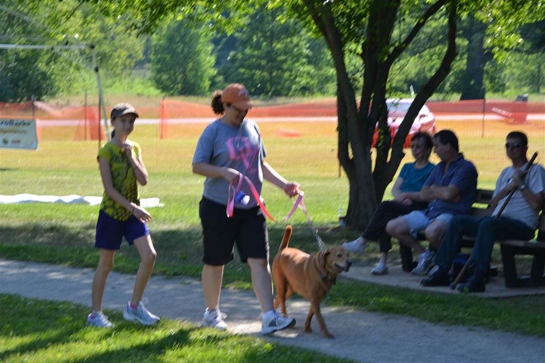 95d13f50-73e0-414e-9812-a4c06b74a413