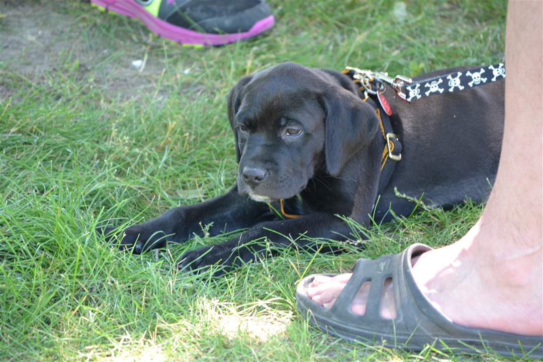 97e6f442-8757-428a-8891-663c9a971e62