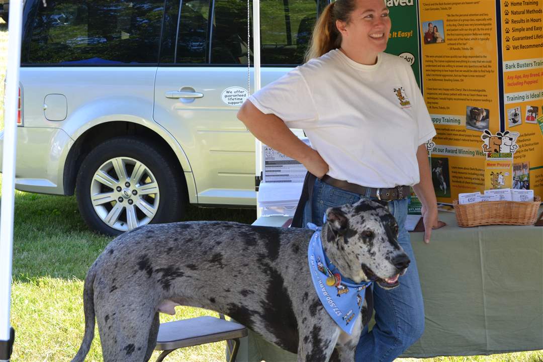 b52c3b1c-4a74-4e27-ba1e-be01402d0c0b