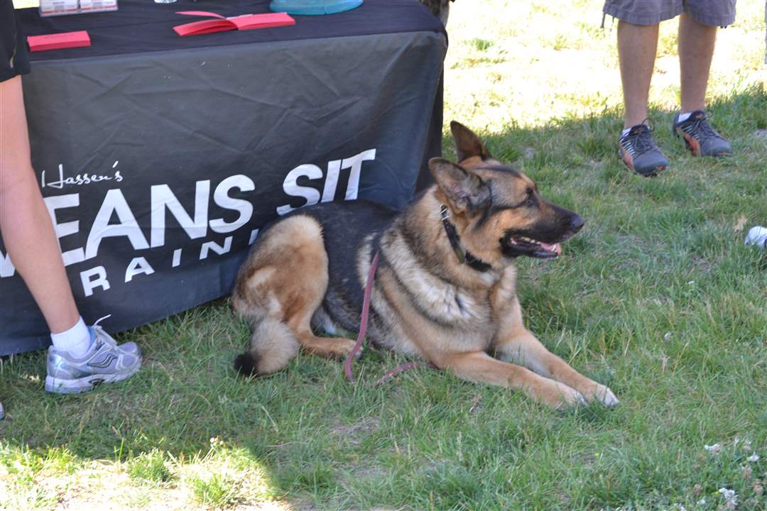 c18dbe92-1bf5-4159-a6d5-1598fb4a1ee2