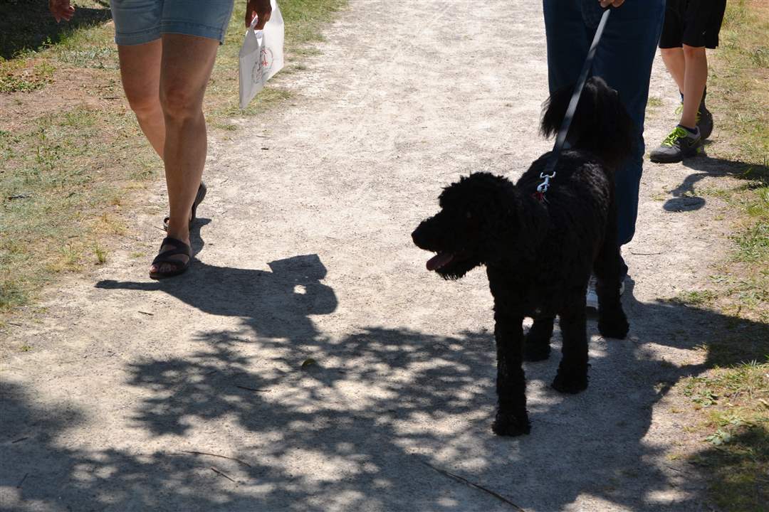 c3e4a2dc-e9c3-49b1-953d-060c62ec2ad2