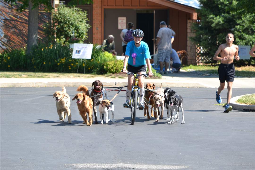 c7c62da4-1cd8-4bca-80cd-a6833be02308