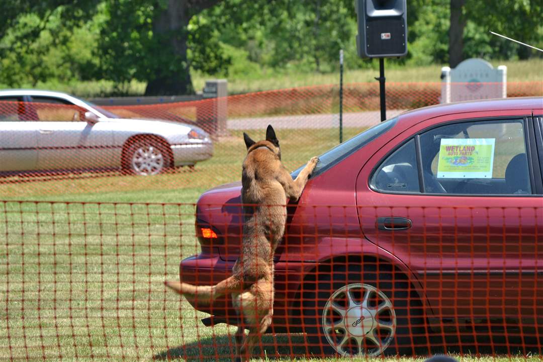 cf167010-2fb3-4c4f-8cc3-2d515ef495db