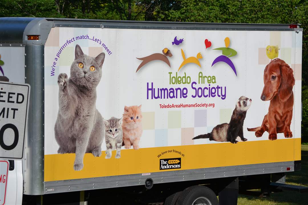 e0637955-24cd-488a-9834-36c15422b602