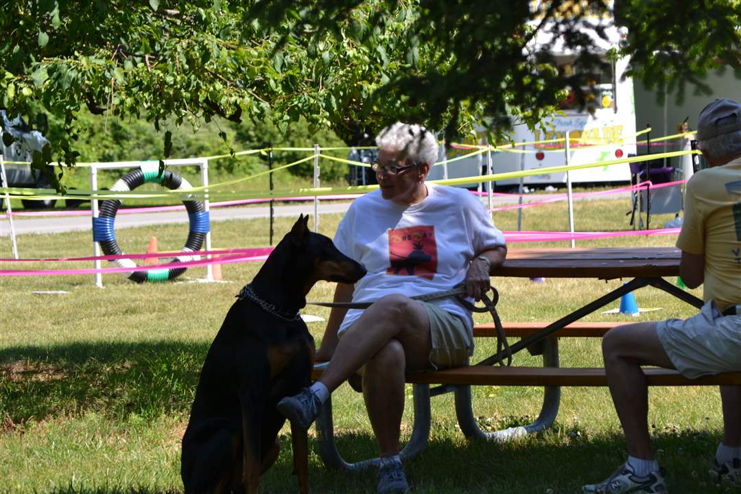 e64d39fa-e81b-4f33-9b9d-56c7dc572283