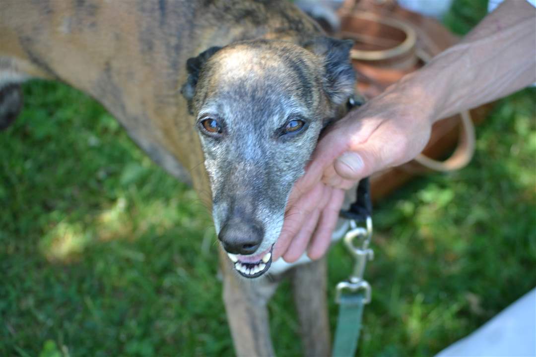 f0d46872-26cd-4f6a-9105-db76e138d201