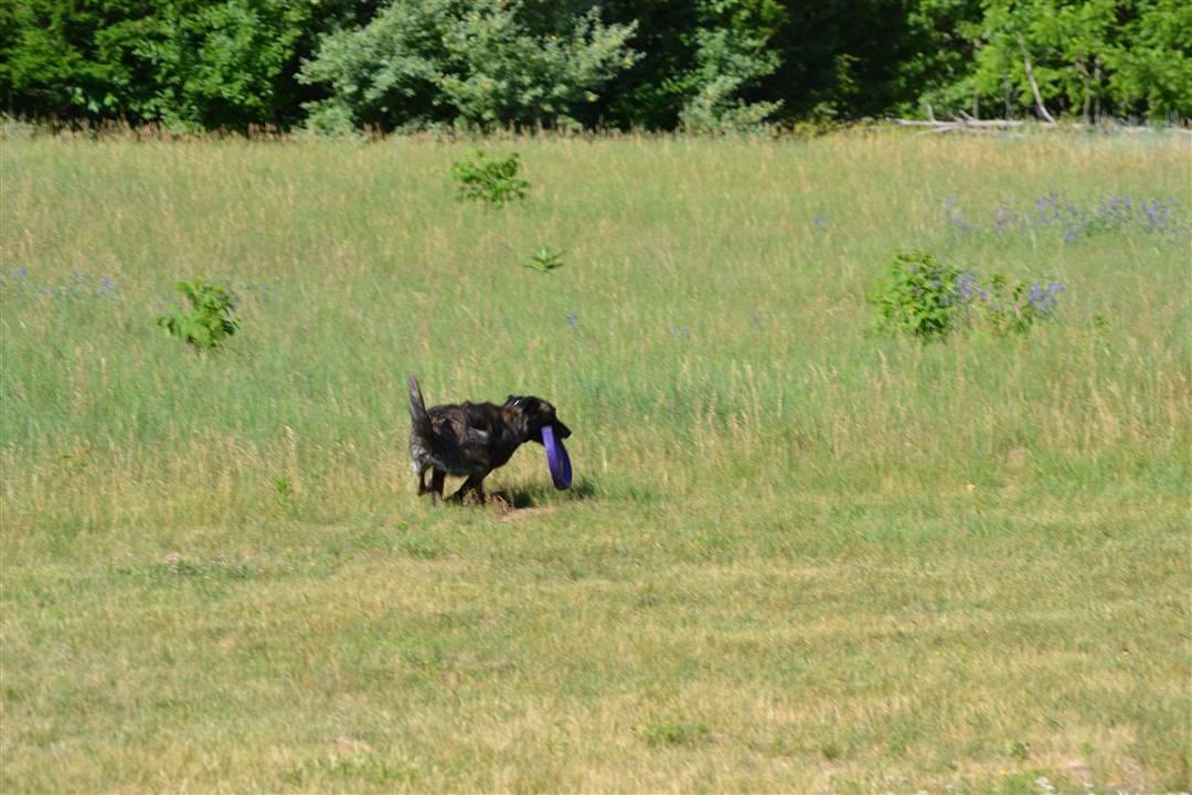 f3b7bf5a-5a28-4d6b-a59f-13be31d40725