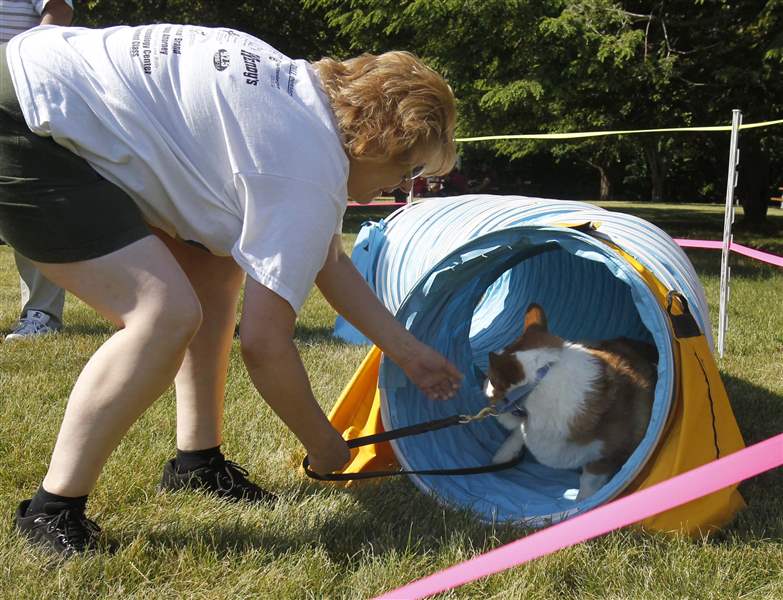 Valerie-Adamski-tries-to-coax-Simon-out-of-the-agility