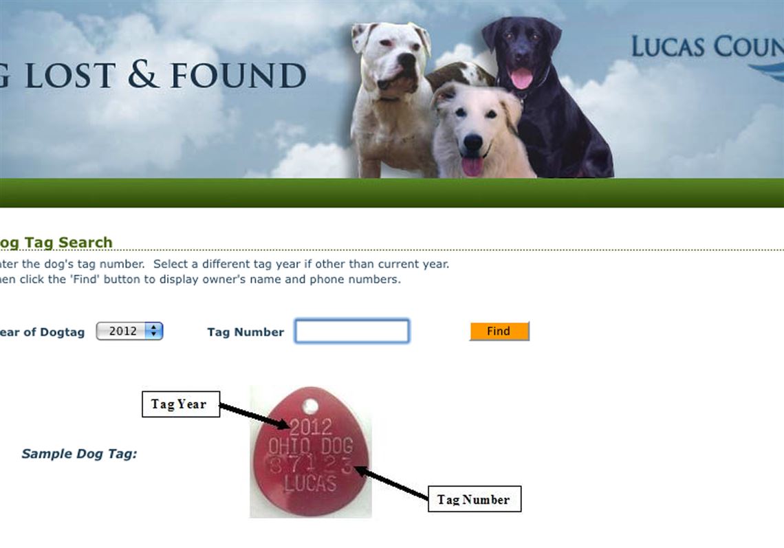 find lost pets online
