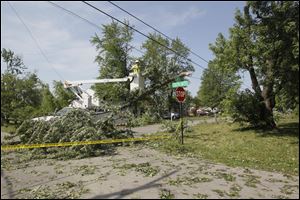 A tree-cutting contractor removes a branch from utility lines in southern Findlay.