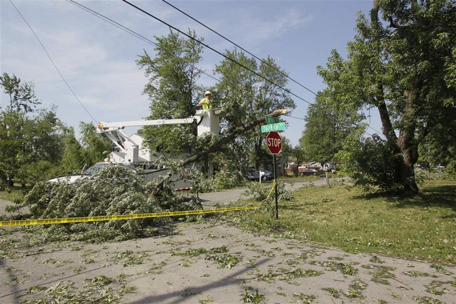 A-tree-cutting-contractor-removes-a-branch