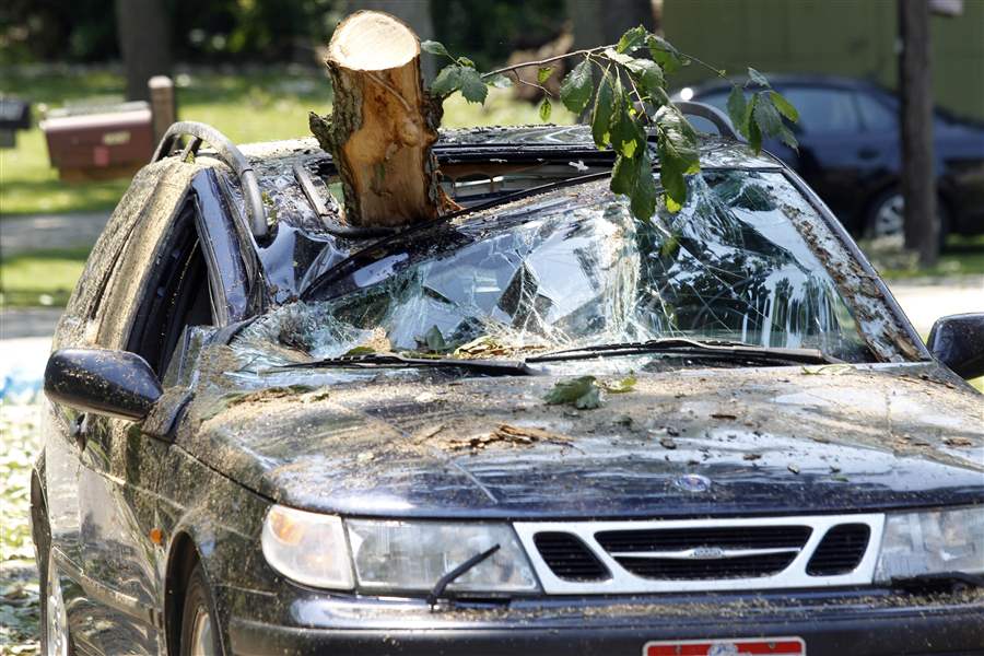 Latest-round-of-storms-downs-trees-cuts-power