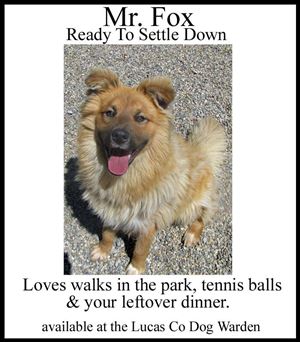 The staff and volunteers are getting creative with marketing, including this flyer by Molly LaMountain, a volunteer.