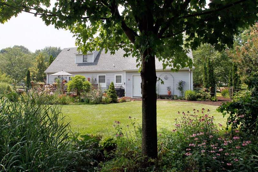 A-maple-tree-anchors-the-shade-garden