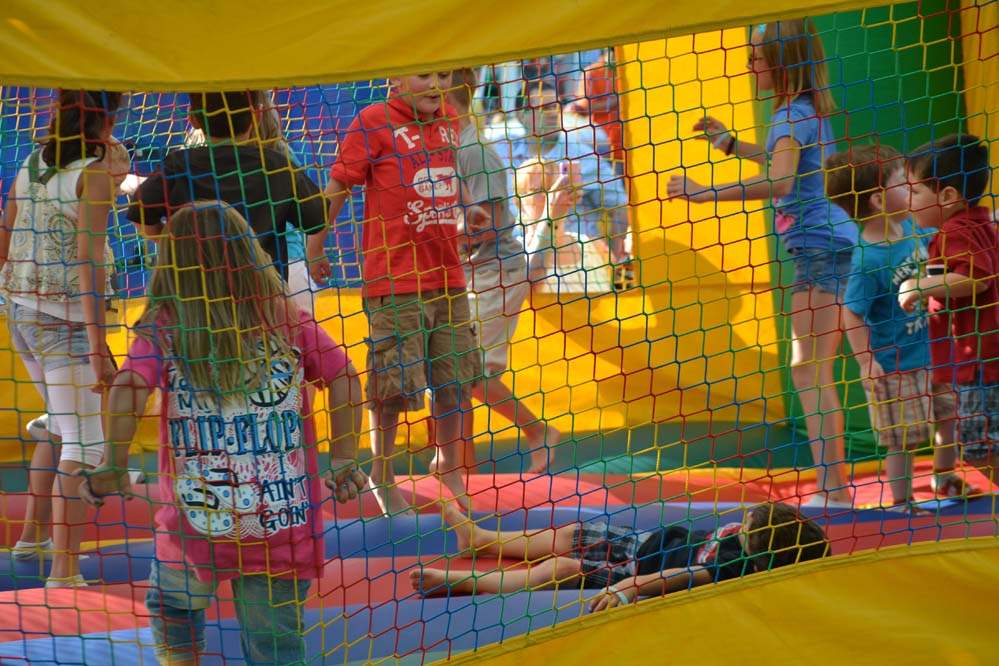 0ba66c0c-f3fd-486b-a586-8488b3d24e9b