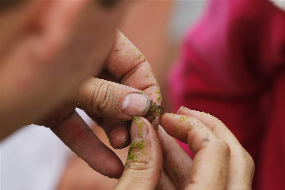 Wood-County-Program-Naturalist-Jim-Witter-1