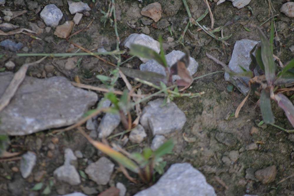 eba2623b-267a-4167-878e-4288846790bc