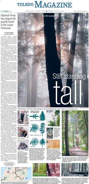 Standing-tall-1