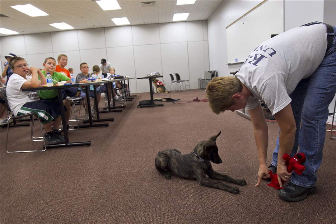 Ohio-Search-Dog-Association-K-9