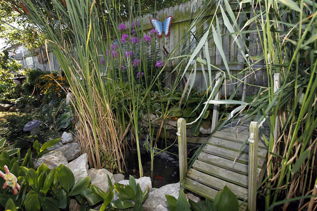 A-waterfall-and-pond