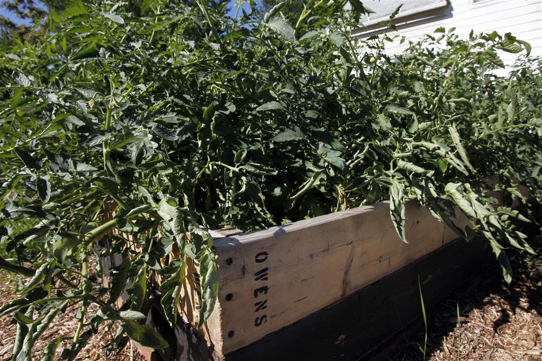 Owens-Community-College-3