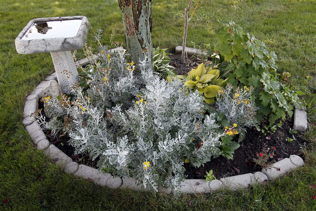 John-Arnold-weed-reap-bird-bath