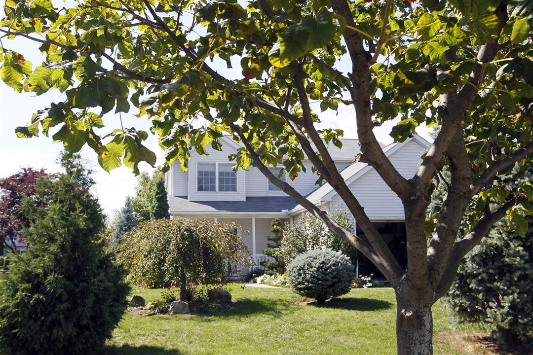 John-Arnold-weed-reap-chestnut-tree