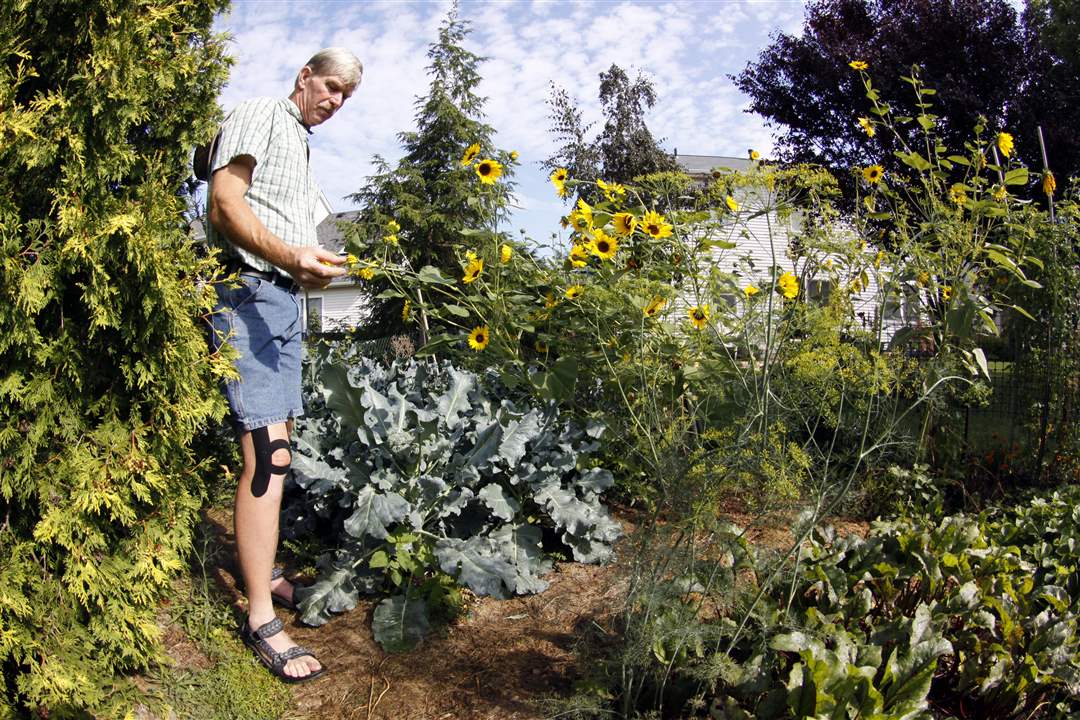 John-Arnold-weed-reap-since-6