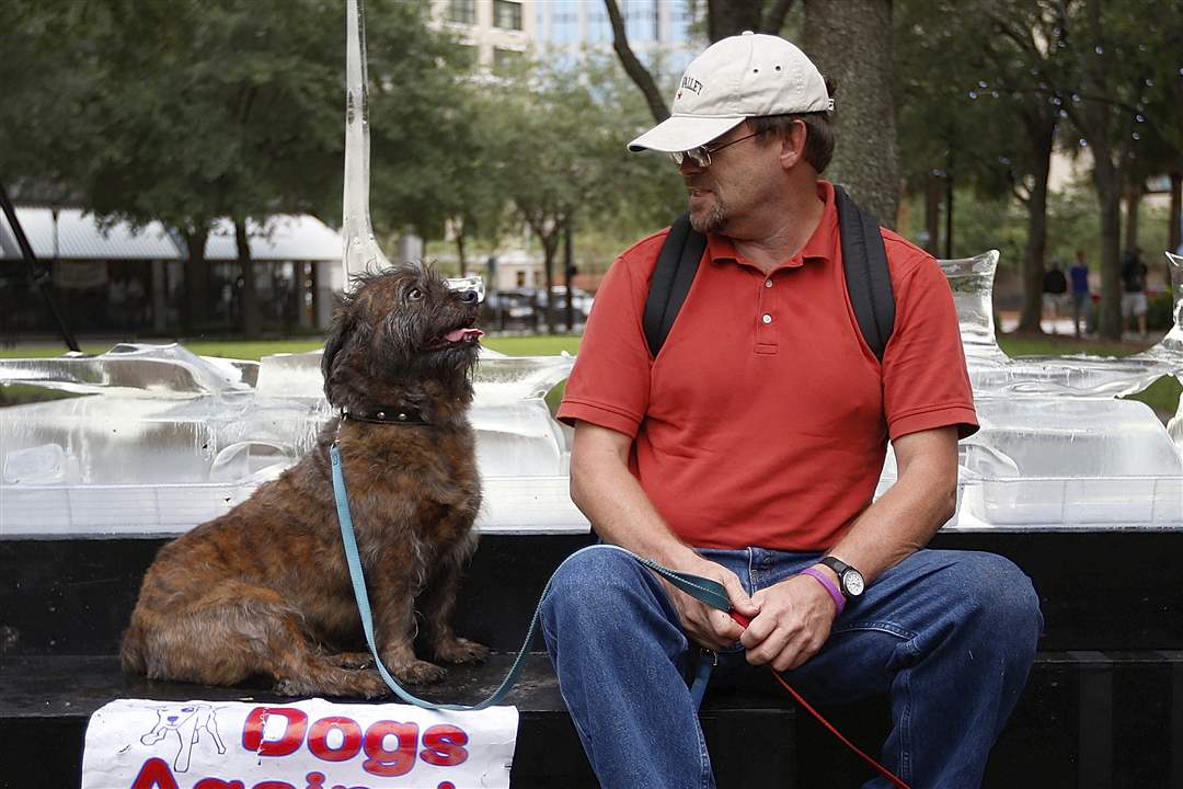 Republican-Convention-Dogs-Against-Romney