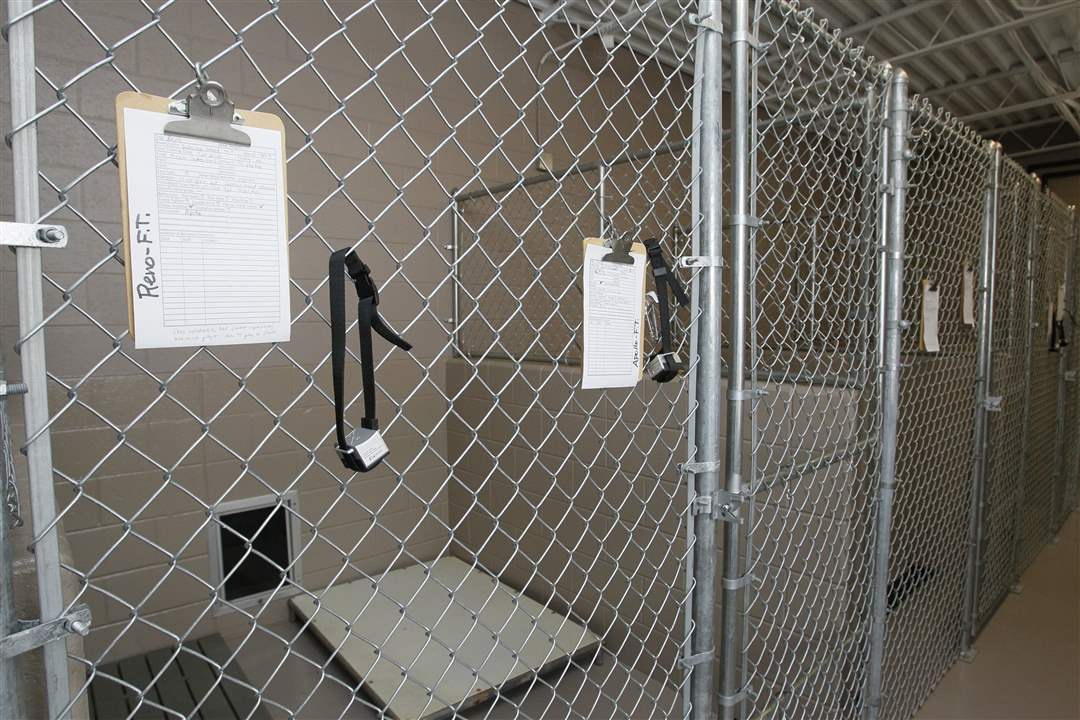 kennels-assistance-dog
