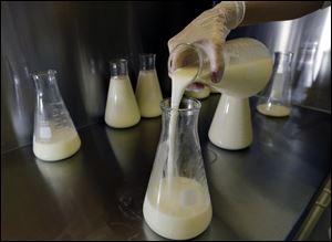 Kelly Fischl, a lab technician at the Mothers' Milk Bank of New England in Newtonville, Mass., pours donated breast milk into another flask to prepare for pasteurization. Pathogens are removed in the process, so the milk can then be distributed to babies in need. However, there doesn't seem to be enough donor milk to send to hospitals to give to babies who badly need it.
