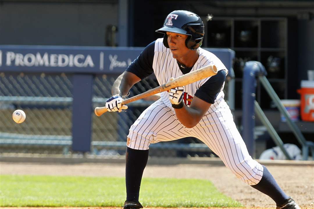 SPT-hens04p-corcino