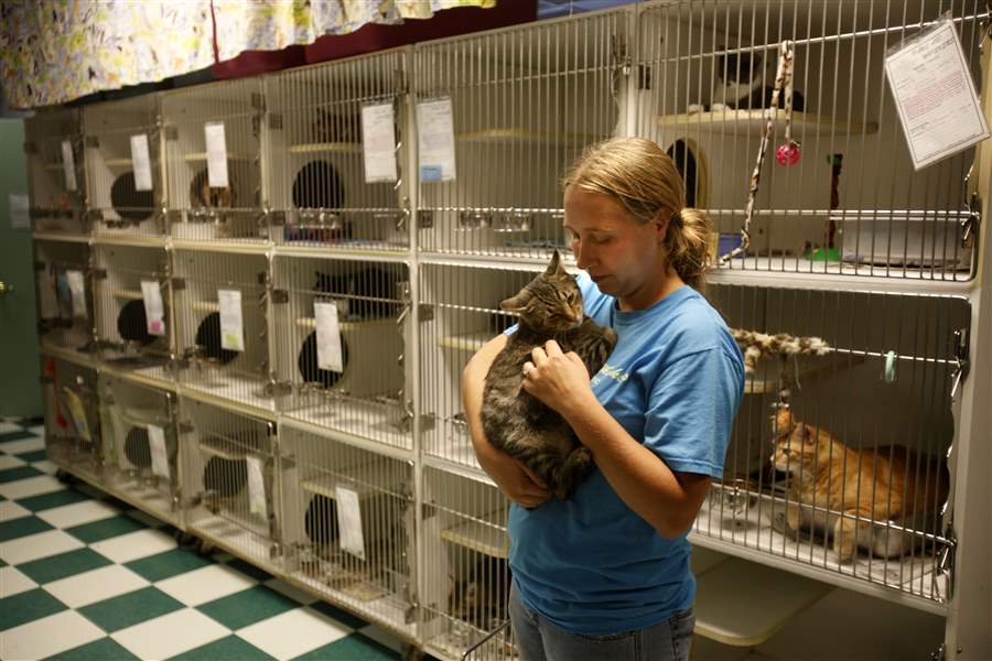 CTY-paws10