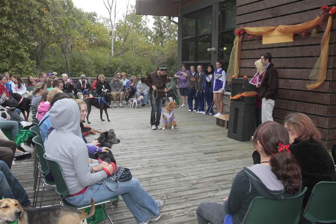 Allison-Ortiz-16-of-Swanton