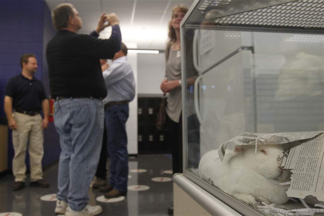 WEBPerry-development28p-4