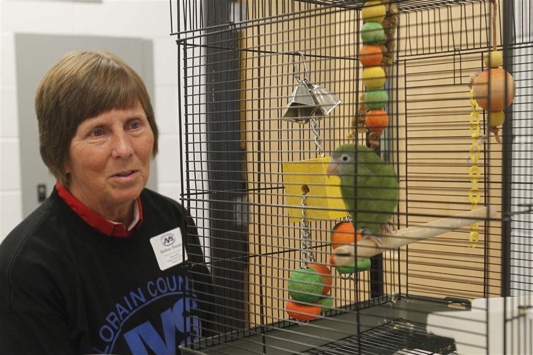 WEBPerry-development28p-5